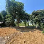 Cần tiền bán gấp 420m2 full đất ở tại Lâm Sơn, Lương Sơn, đất hai mặt đường, cách QL6 100m - Ảnh thu nhỏ 3
