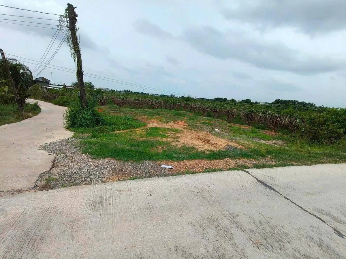 Bán đất thổ cư 160m2 góc 2 mặt tiền Phan Thiết 1.1 tỷ - Ảnh thu nhỏ 2