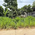 Bán đất Phú Lộc Tân Phú Đồng Nai 240m² 399 triệu - Ảnh thu nhỏ 3