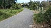 Bán đất tại KH Lộc Chánh, 600 triệu, 302 m2, đất thổ cư, pháp lý đầy đủ - Ảnh thu nhỏ 5