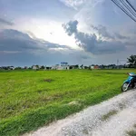 Bán đất 1000m2 Mỹ Hạnh Nam Bình Chánh 3.8 tỷ - Ảnh thu nhỏ 1