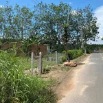 Chú Tám cần bán đất vườn trái cây sẵn nhà cấp 4 ở Bình Dương, rộng 2541m2, thổ cư, giá rẻ 680tr - Ảnh thu nhỏ 2