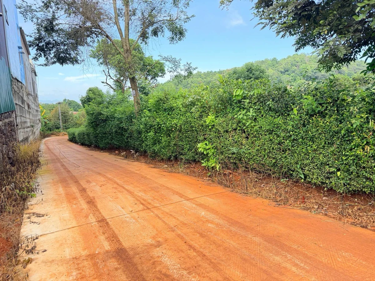 Bán đất hẻm Vành Đai 5x18m giá 379 triệu, Phường Ea Tam, Đắk Lắk - Ảnh thu nhỏ 3