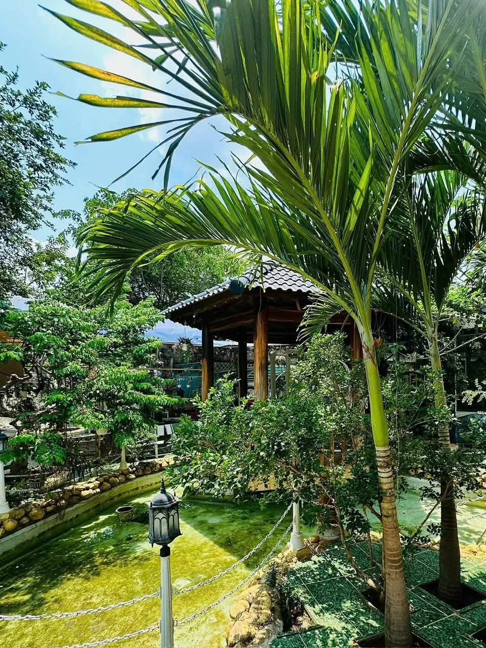 Bán villa 3 phòng ngủ 180m² Phan Huy Chú Buôn Ma Thuột 8,9 tỷ - Ảnh 1