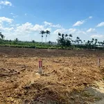 Bán 184,7m2 chỉ 369tr ngay cổng KDL Núi Bà Đen, phủ hồng toàn bộ mặt tiền nhựa 6m - Ảnh thu nhỏ 2