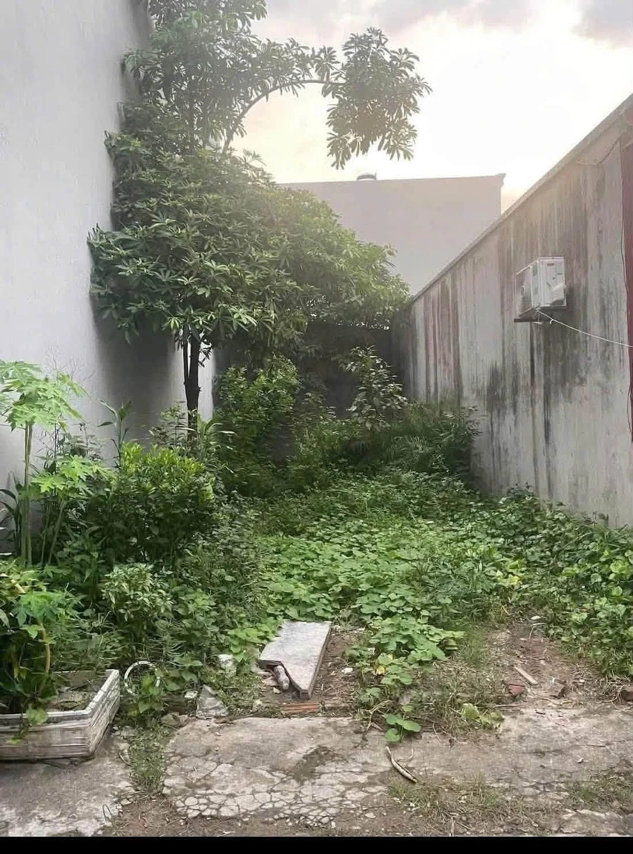 Bán thửa đất vuông vắn 70,5m² Ngô Quyền, 1 tỷ 800 triệu - Ảnh thu nhỏ 2
