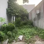 Bán thửa đất vuông vắn 70,5m² Ngô Quyền, 1 tỷ 800 triệu - Ảnh thu nhỏ 2