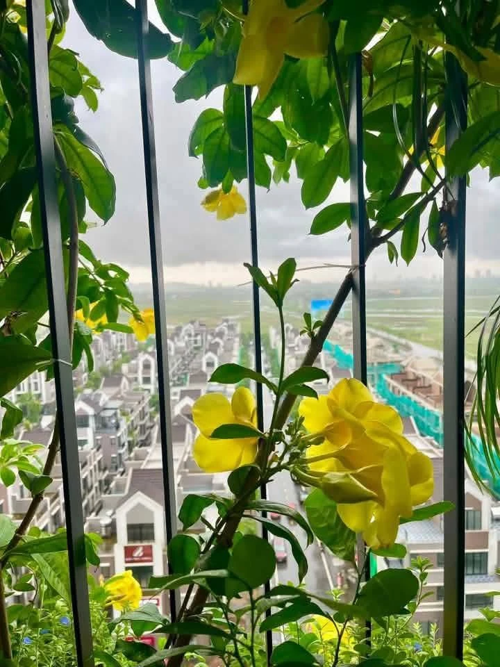 Bán căn hộ 74m2 2PN Eco Central Park, 45tr/m2 đầy đủ nội thất - Ảnh 1