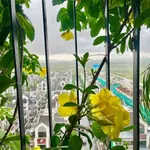 Bán căn hộ 74m2 2PN Eco Central Park, 45tr/m2 đầy đủ nội thất - Ảnh thu nhỏ 1