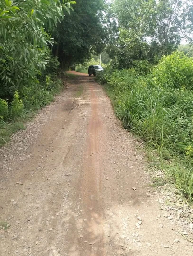 Bán lô đất vườn 4,2 tỷ tại An Điền, Phường Long Nguyên, Bình Dương cũ - Ảnh 1