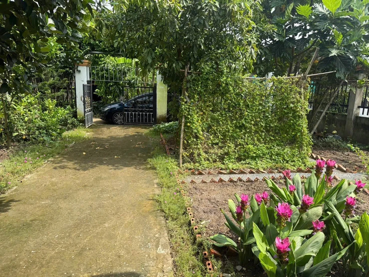 Nhà vườn 283,6m² Bình Lãng, Tân Trụ, Long An - 1 tỷ 500 - Ảnh thu nhỏ 3