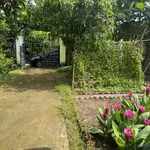 Nhà vườn 283,6m² Bình Lãng, Tân Trụ, Long An - 1 tỷ 500 - Ảnh thu nhỏ 3