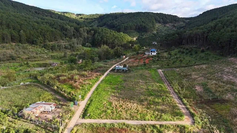 Bán đất Nam Ban Lâm Đồng 1000m² giá 1 tỷ 750 triệu