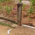 Bán đất Nguyễn Hữu Thọ Phước An 138m² sổ hồng Đắk Lắk - Ảnh thu nhỏ 2