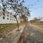 Bán đất nền giá tốt, 1,6 tỷ, 85m2 ở Quốc lộ 32, Tam Nông, Phú Thọ - Ảnh thu nhỏ 10