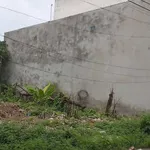 Nền đất bán KDC Dầu Khí Bình Thủy, Cần Thơ, 80m² - Ảnh thu nhỏ 2