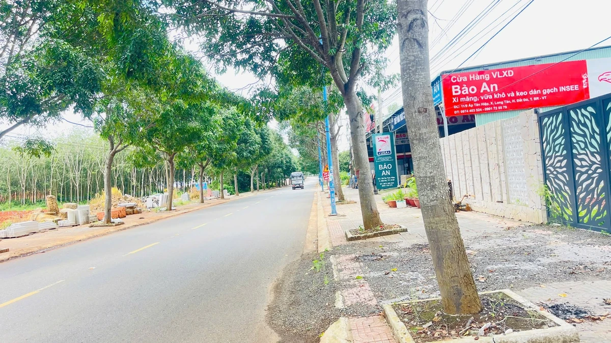 Bán đất mặt tiền Tỉnh lộ 52, Long Tân, Đất Đỏ, Bà Rịa Vũng Tàu, 1260m2, 8,5 tỷ - Ảnh 1