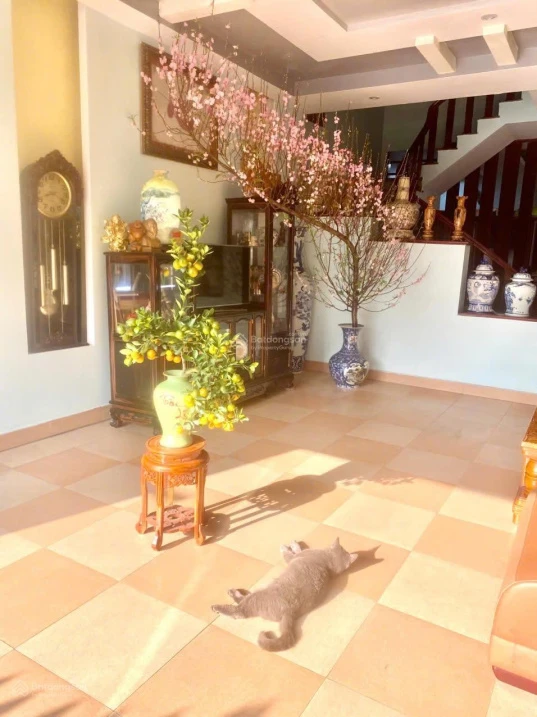 Nhà riêng, chính chủ, đất có sổ đỏ - Ảnh thu nhỏ 2