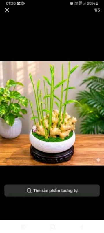Bán đất 125m² sổ riêng thổ cư 100% Hố Nai, Đồng Nai