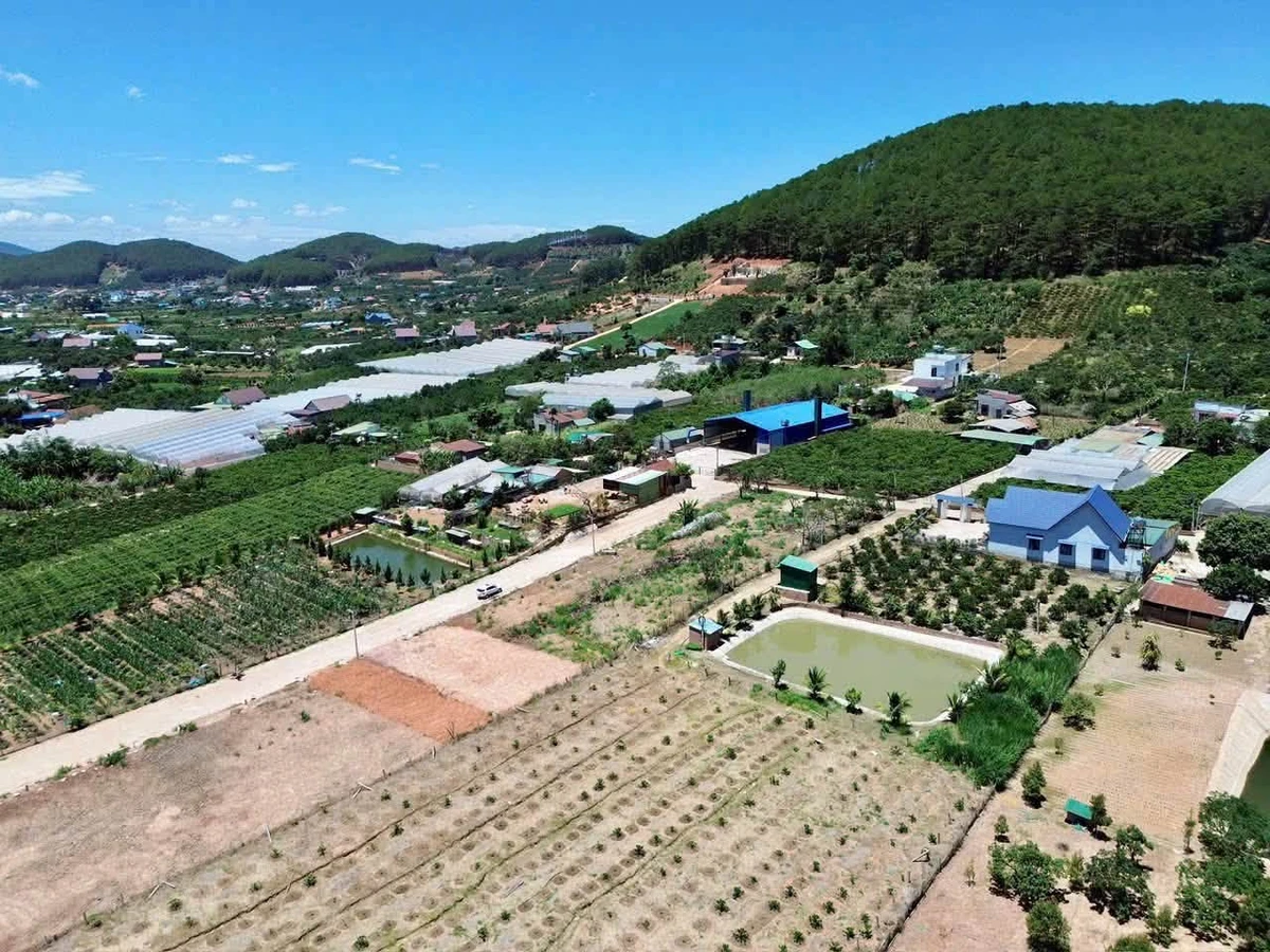 Bán đất Mê Linh giáp Đà Lạt 175m² 899 triệu - Ảnh thu nhỏ 3