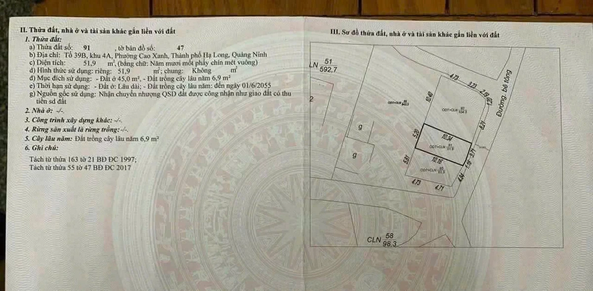 Bán lô đất 52m2 ngõ 20 thông 28 Cao Xanh, sau Ford, Hạ Long, giá 1,6 tỷ - Ảnh thu nhỏ 3