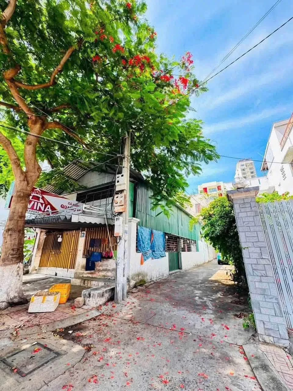 Bán đất góc 2 mặt tiền Nguyễn Biểu, 160m², gần biển, 22,4 tỷ - Ảnh 1