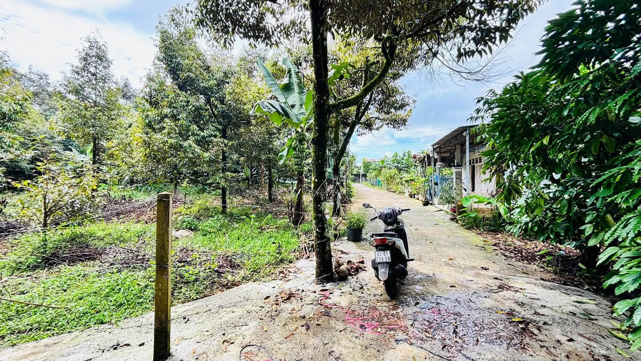 Bán 3 lô đất liền kề 186m² Bảo Lộc 1 tỷ 7 - Ảnh thu nhỏ 4