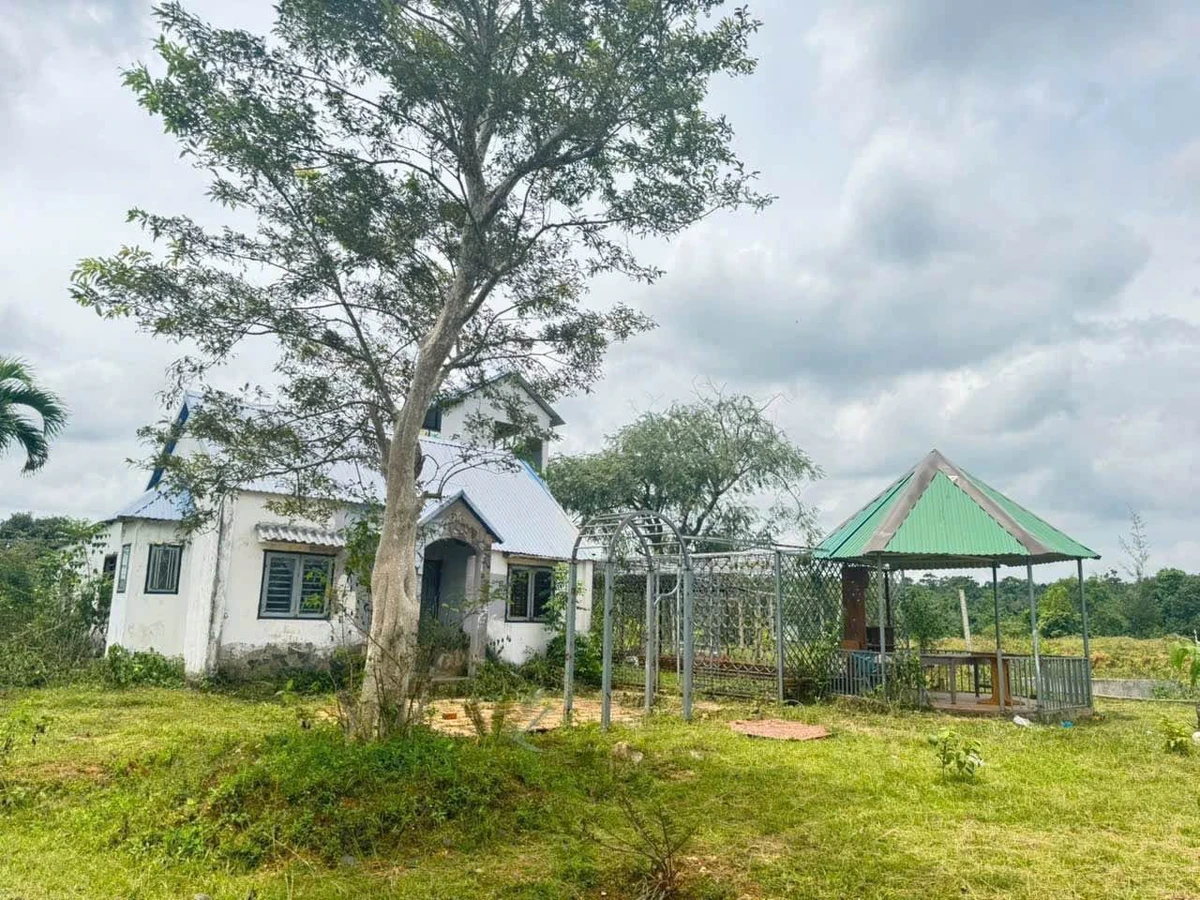 Bán đất nông nghiệp 2ha Eakao, Buôn Ma Thuột, 400 triệu/sào - Ảnh thu nhỏ 5