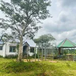 Bán đất nông nghiệp 2ha Eakao, Buôn Ma Thuột, 400 triệu/sào - Ảnh thu nhỏ 5