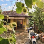 Bán đất vườn sinh thái 3.866m² Buôn Ma Thuột 8 tỷ - Ảnh thu nhỏ 5