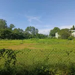 Bán lô đất cây trồng 3000m² Lâm Đồng mặt tiền bê tông - Ảnh thu nhỏ 3