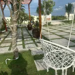 Bán nhà vườn 1826m2 Hàm Liêm, Lâm Đồng - Ảnh thu nhỏ 2