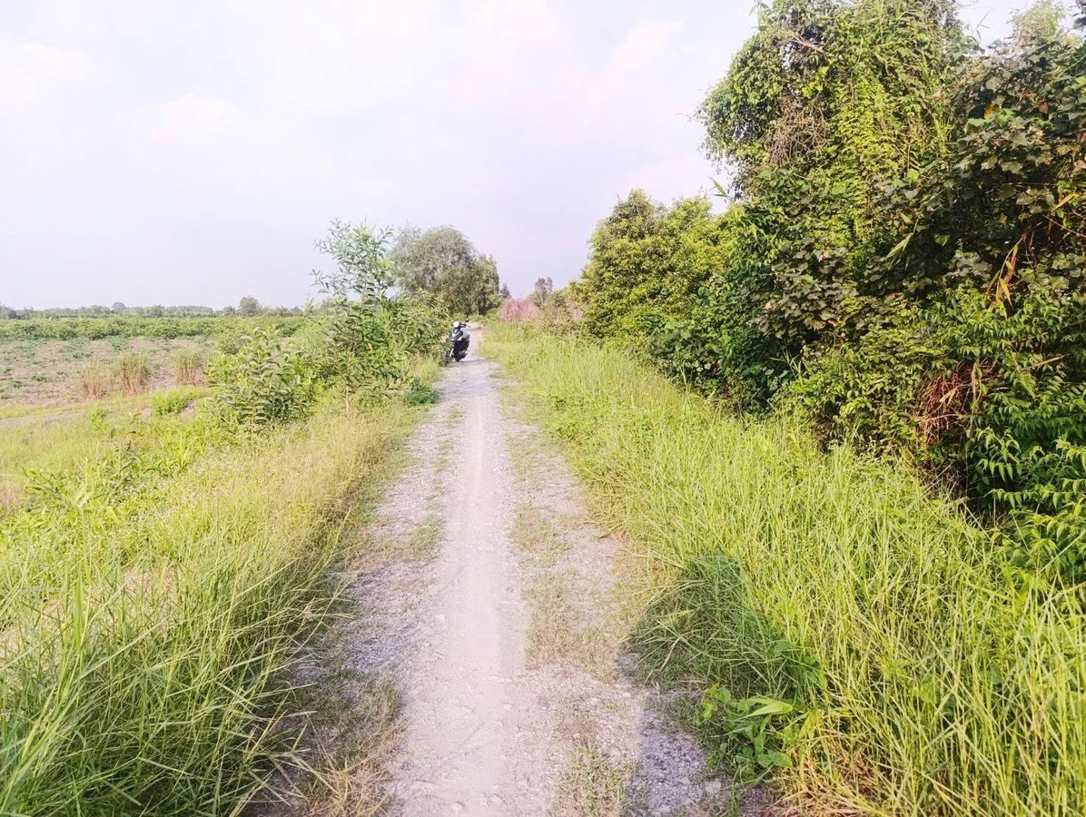 Bán đất vườn 3000m² mặt tiền Rạch Kênh, Bến Lức Long An, 1 tỷ 650 triệu - Ảnh thu nhỏ 3