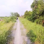 Bán đất vườn 3000m² mặt tiền Rạch Kênh, Bến Lức Long An, 1 tỷ 650 triệu - Ảnh thu nhỏ 3