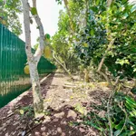Bán đất vườn trái cây 500m2 sổ riêng giá 699 triệu tại Phường Bảo Vinh - Ảnh thu nhỏ 1