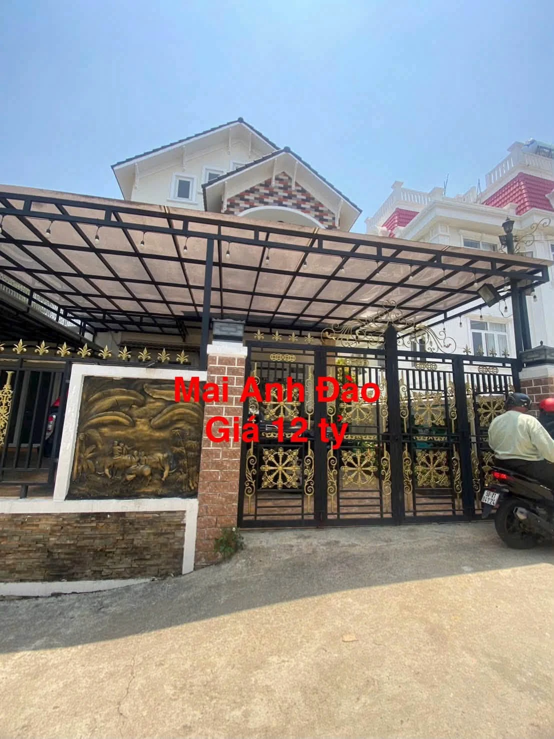 Bán biệt thự Đà Lạt 200m² 7PN giá 12 tỷ - Ảnh 1