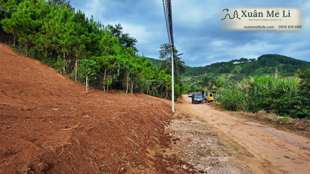 Bán 2 lô đất liền kề ven Đà Lạt, đường ô tô, Diện tích 368371m², sổ hồng riêng - Ảnh thu nhỏ 3