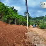 Bán 2 lô đất liền kề ven Đà Lạt, đường ô tô, Diện tích 368371m², sổ hồng riêng - Ảnh thu nhỏ 3