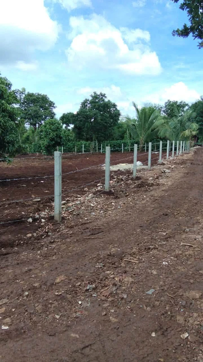 Bán đất mặt tiền Nhà Nước 504m², 759 triệu Phường Bình Mỹ Trung - Ảnh thu nhỏ 4