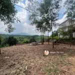 Cần bán nhanh thửa đất 385m2/70m ONT tại trung tâm xã Cư Yên khu nghỉ dưỡng Beverly Hill. Giá 2,1tỷ - Ảnh thu nhỏ 6