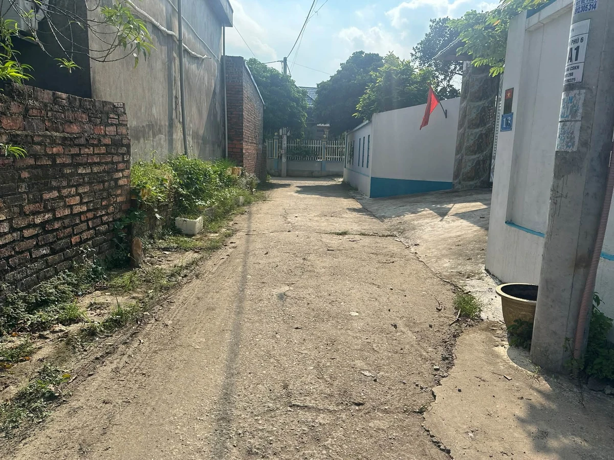 Bán đất lô góc 91,8m2 mặt tiền 5,1m tại Xuân Lễ, Tân Dân, Sóc Sơn, Hà Nội - Ảnh thu nhỏ 2
