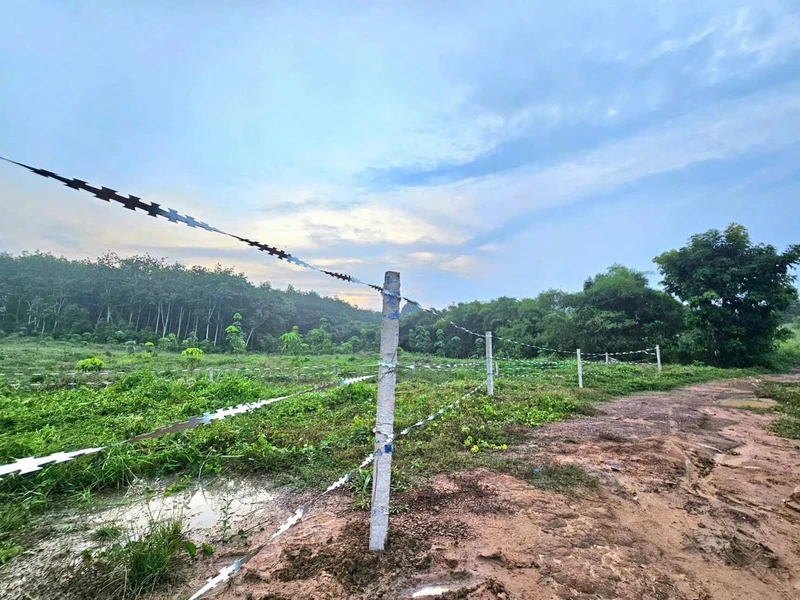 Bán đất thổ cư 100m² Tân Hưng Đồng Nai 90 triệu