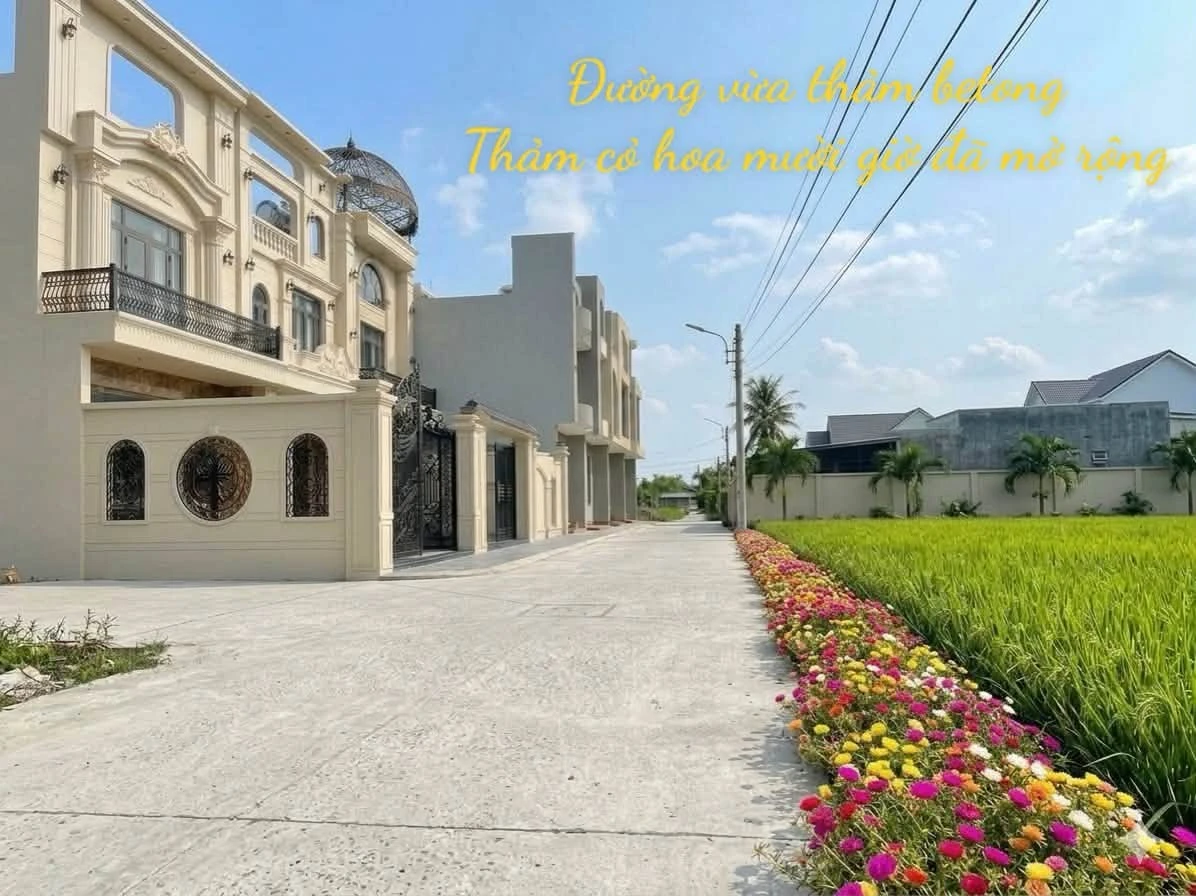 Bán 2.000m² đất nền Xã Long Hòa, Bình Dương 7.2 tỷ - Ảnh 1