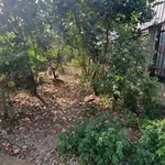 Bán đất mặt tiền đường Đỗ Trình Thoại 166m2, Phường Long An, Tây Ninh giá 2,3 tỷ - Ảnh thu nhỏ 2