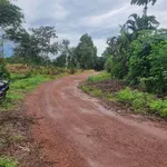 Bán đất 2 sào Củ Chi, mặt tiền, view suối, có cây ăn trái - Ảnh thu nhỏ 1