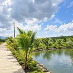 Bán 1 sào đất vườn Giáp Bảo Vinh, 200m² thổ cư Long Khánh - Ảnh thu nhỏ 2