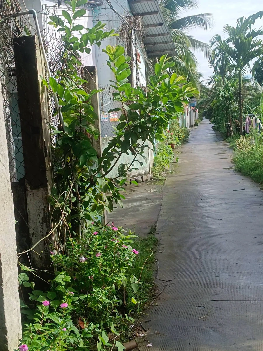 Bán đất 738m2 có 300m2 thổ cư gần KCN Giao Long - 2,6 tỷ - Ảnh thu nhỏ 2