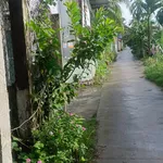 Bán đất 738m2 có 300m2 thổ cư gần KCN Giao Long - 2,6 tỷ - Ảnh thu nhỏ 2