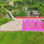 Bán đất thổ cư 98m² đường Nguyễn Văn Vịnh, xã Tân Trụ, Tây Ninh giá 330 triệu - Ảnh thu nhỏ 1