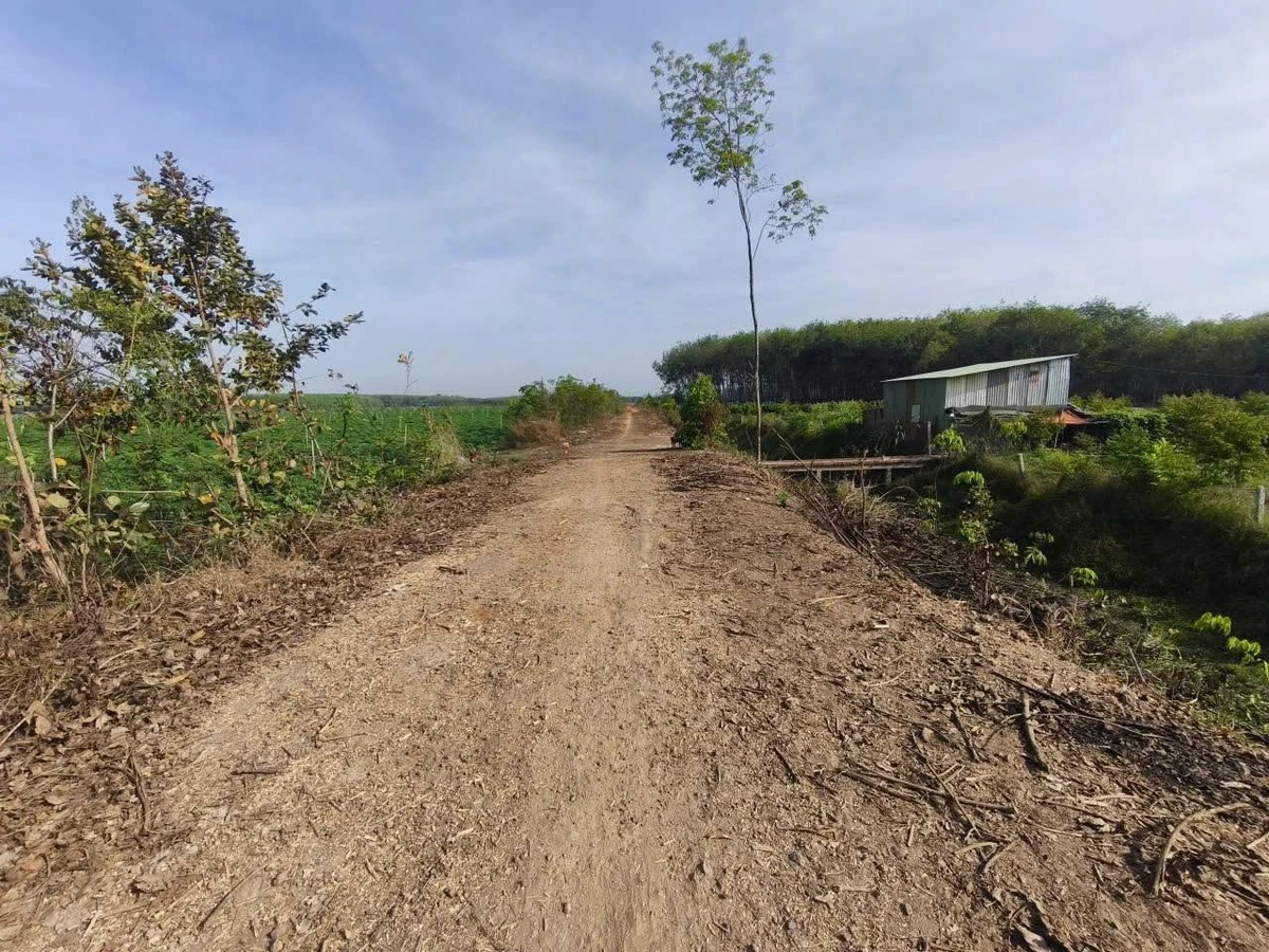 Bán 7ha đất Tân Châu, Tây Ninh, 72.474m², 8,7 tỷ - Ảnh thu nhỏ 2